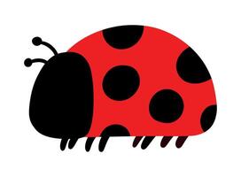 mignonne coccinelle insecte animal dessiné dessin animé griffonnage vecteur illustration