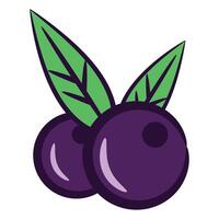 acai fruit, vecteur clipart