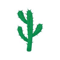 vecteur cactus icône