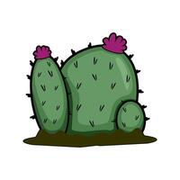 cactus plante illustration vecteur art