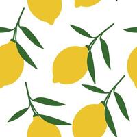 Frais citron tropical fruit sans couture modèle vecteur