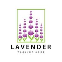 lavande logo Facile conception vecteur cosmétique plante violet Couleur et aromathérapie lavande fleur jardin modèle