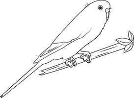 contour perroquet séance sur une bifurquer, ligne art perroquet isolé sur blanc arrière-plan, 3d illustration vecteur