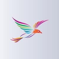 logo oiseau coloré vecteur