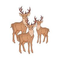 illustration de cerf famille vecteur