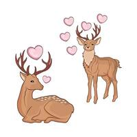 illustration de cerf couple vecteur