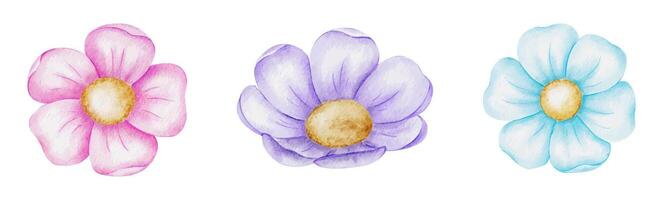 ensemble de rose, violet et bleu Facile fleurs. isolé aquarelle illustration pour logo, des gamins marchandises, cartes, vêtements, textile, cartes postales, affiche vecteur