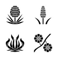 Ensemble d'icônes de glyphe de plantes du désert. flore exotique. yucca, kniphofia, plante du siècle, paperflower à tige blanche. symboles de silhouette de plantes du désert. illustration vectorielle isolée vecteur