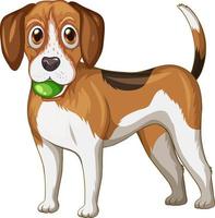 Caricature de chien beagle sur fond blanc vecteur