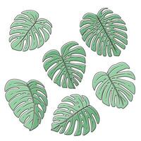 monstera feuille collection, Facile ligne dessin, griffonnage style vecteur