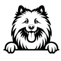 ai généré noir et blanc Keeshond chien furtivement visage illustration vecteur