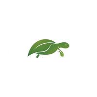 tortue conception logo vecteur. tortue animal vecteur