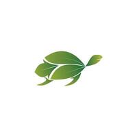 tortue conception logo vecteur. tortue animal vecteur