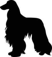 afghan chien noir silhouette vecteur