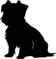 Affenpinscher noir silhouette vecteur