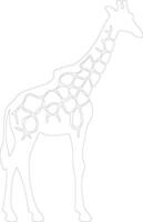 girafe contour silhouette vecteur