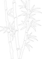 bambou pousse contour silhouette vecteur