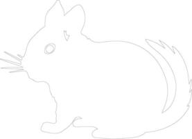 chinchilla contour silhouette vecteur