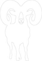 Grosse corne mouton contour silhouette vecteur