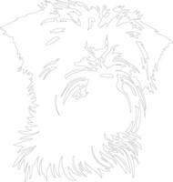 Norfolk terrier contour silhouette vecteur