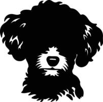 bichon frise silhouette portrait vecteur