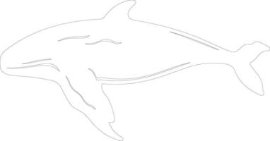 baleine boréale contour silhouette vecteur