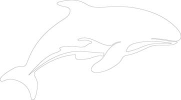 béluga baleine contour silhouette vecteur