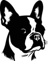 Boston terrier silhouette portrait vecteur