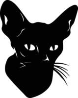 donskoï Don sphynx chat silhouette portrait vecteur