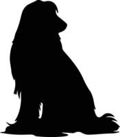 afghan chien noir silhouette vecteur