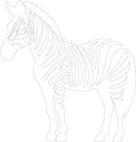 quagga contour silhouette vecteur