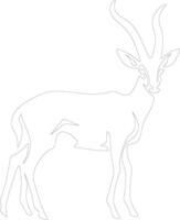 antilope contour silhouette vecteur