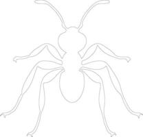 fourmi contour silhouette vecteur
