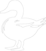 colvert canard contour silhouette vecteur