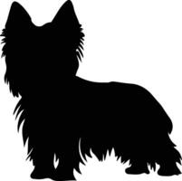 soyeux terrier noir silhouette vecteur