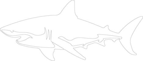 génial blanc requin contour silhouette vecteur