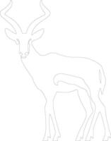 antilope contour silhouette vecteur