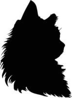 Britanique cheveux longs chat silhouette portrait vecteur