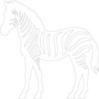 quagga contour silhouette vecteur