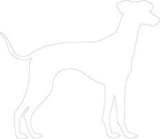 whippet contour silhouette vecteur