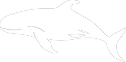 baleine boréale contour silhouette vecteur