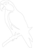 perroquet contour silhouette vecteur