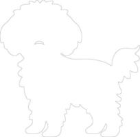 bichon frise contour silhouette vecteur