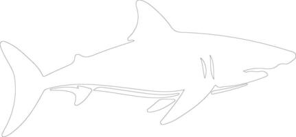 lumineux requin contour silhouette vecteur
