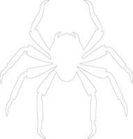 arachnide contour silhouette vecteur