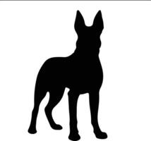 Belge malinois noir silhouette vecteur