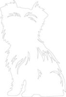 Affenpinscher contour silhouette vecteur