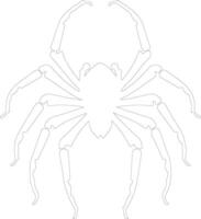 arachnide contour silhouette vecteur