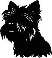 Affenpinscher noir silhouette vecteur