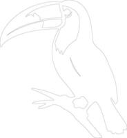 toucan contour silhouette vecteur